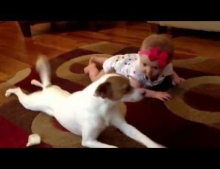 A talented dog teaching this baby how to crawl
