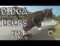 Didga the cat drops in at a skate park and tears it up.