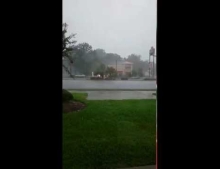 Lightning strikes a Wendy's restaurant in Florida. I think it's Mother Nature's way of asking, 'Where's the Beef?'