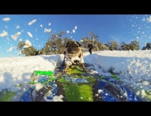 This snowboarding pug is the true definition of pug life.