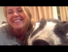 Virginia the pet pig is not in the mood to cuddle.