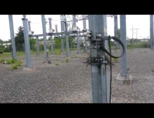 Worker finds a nest of baby birds at a power substation surrounded by 115,000 volts. 