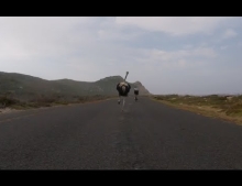 Cyclists get chased by a crazy ostrich.