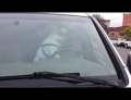 Dog left in a car with the windows up lays on the horn to show his anger.