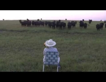 This Is How You Round Up Your Cattle Using A Trombone.