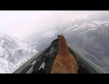 Chickens dream of flying becomes a reality.