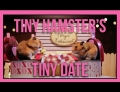 Two hamsters are given the most romantic Valentine's Day dinner they could have only dreamed of.