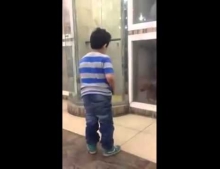 Kid attempts to scare a dog and receives instant karma.