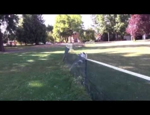 Dog chasing a frisbee plows through a portable outfield fence and pulls off a perfect front flip.