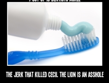9 out of 10 dentists agree, the jerk that killed Cecil the lion is an asshole.