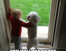A Dog And A Child Growing Up Together Is A Beautiful Thing.