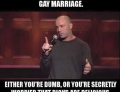 According to Joe Rogan there are only two reasons to hate gay marriage.