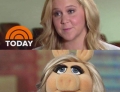 Amy Schumer looks much more like Miss Piggy than Barbie.