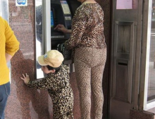 Urban leopard and her offspring spotted in the wild.