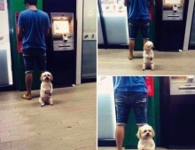 Bank ATM guard dog.