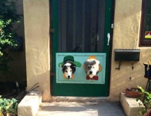 Best Front Door Ever And I Am Sure Those Dogs Love It Too