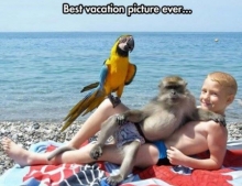 Best Vacation Picture Ever Thanks To a Monkey and a Parrot.
