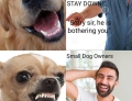 Big dog owners vs. Small dog owners