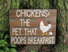 Chickens: The pet that poops breakfast.
