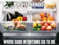 Crisper Drawers: Where good intentions go to die.