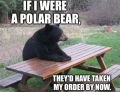 If I were a polar bear...