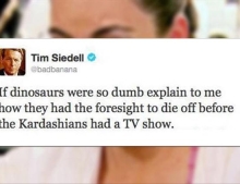 Dinosaurs were much smarter than many people realize.