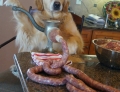 Dog Making Sausage.