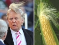 Donald Trump vs Corn on the cob. Which one has better hair?