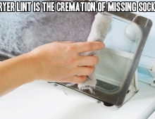 Dryer lint is the cremation of missing socks.