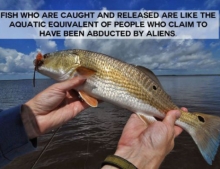 Fish that are caught and released are like people who claim to have been abducted by aliens.