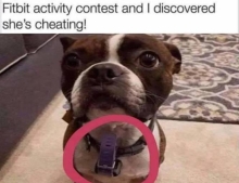 Fitbit cheater!