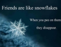 Friends are like snowflakes.