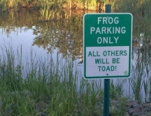 Frog parking only.