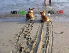 Good Example Of What ABS Is And How It Affects Your Braking Ability.