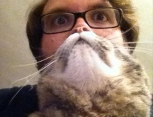 Have You Ever Tried Doing A Cat Beard With Your Favorite Feline?