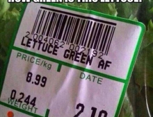 How green is this lettuce?