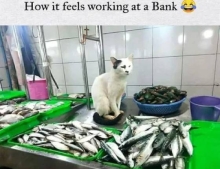 How it feels working at a bank.