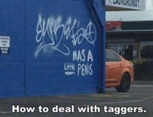 How to deal with taggers.