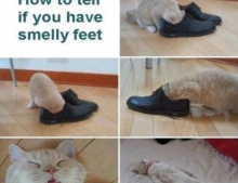 How to tell if you have smelly feet.