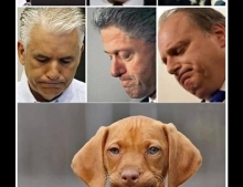 How to tell if your dog is involved in a sex scandal by its facial expression.