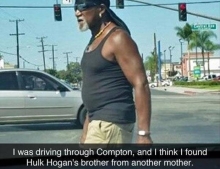 Hulk Hogan's twin spotted in Compton.