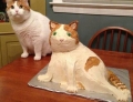 Cat cake is extremely lifelike.