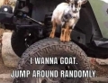 I want to be a goat.