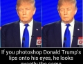 If you photoshop Donald Trump's lips onto his eyes, he looks exactly the same.