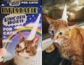 Inflatable unicorn horn for cats. This cat really seems to love it, just like the package says.