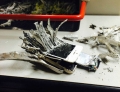 iPhone fell into an Industrial paper shredder and this is the result.