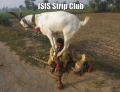 ISIS strip club.