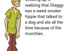It all makes sense now. Shaggy was stoned in every episode. Zoinks!!.
