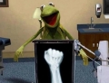 Kermit the Frog finally found out what has been causing him pain all these years.