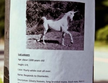 Missing Unicorn. Rewards Offered. Please Help.